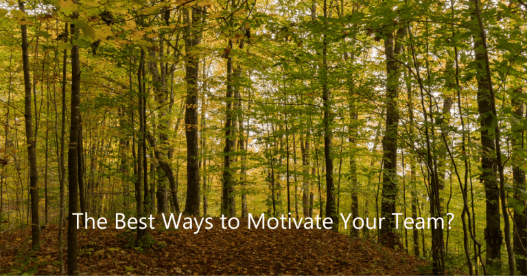 The Best Ways to Motivate Your Team