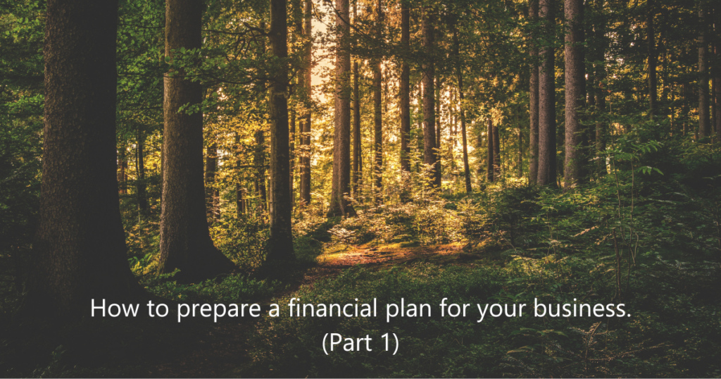 How to prepare a financial plan for a business