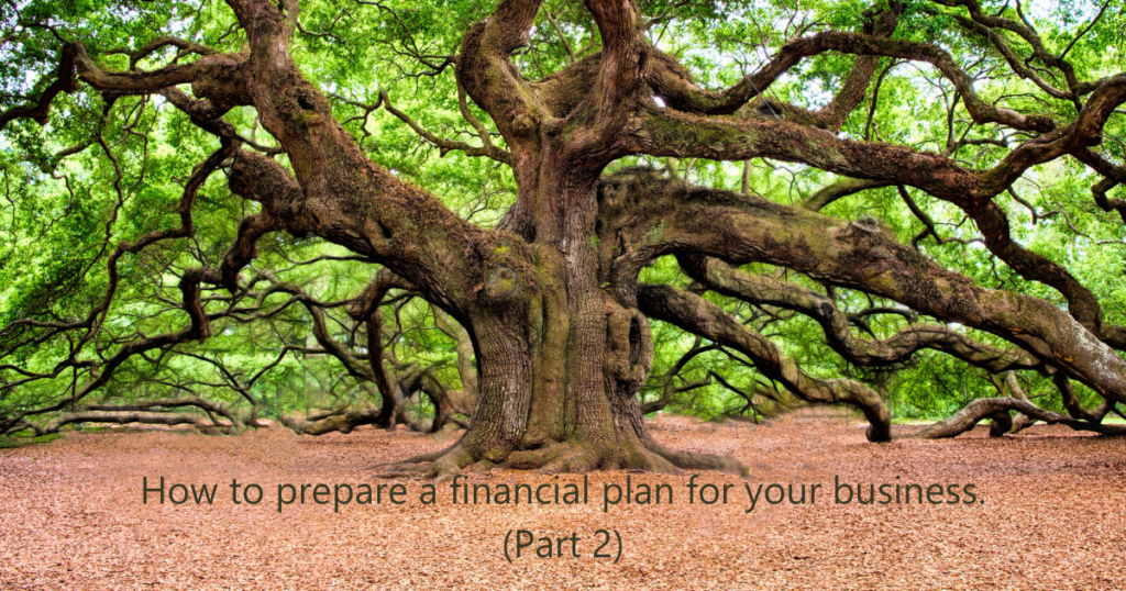 How to prepare a financial plan for your business
