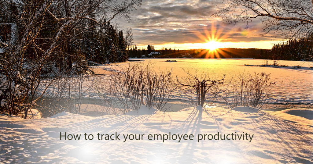 How to track your employee productivity