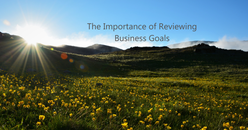 The Importance of Reviewing Business Goals